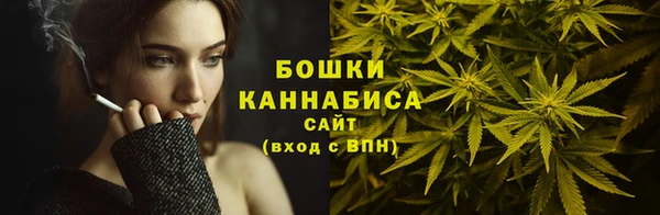 PSILOCYBIN Кулебаки