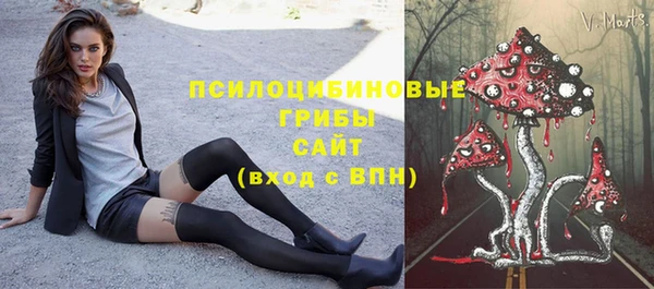 mdpv Лабытнанги