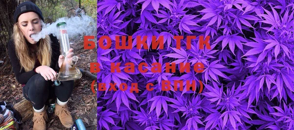 PSILOCYBIN Кулебаки