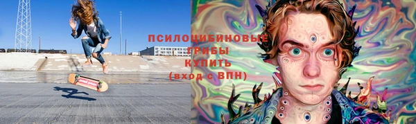 герыч Ладушкин