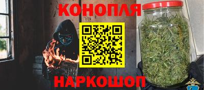 гашиш Кингисепп