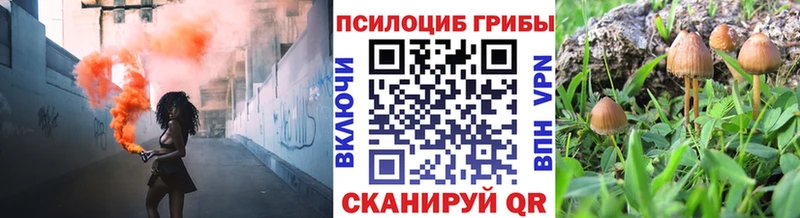 Псилоцибиновые грибы Magic Shrooms Михайловка