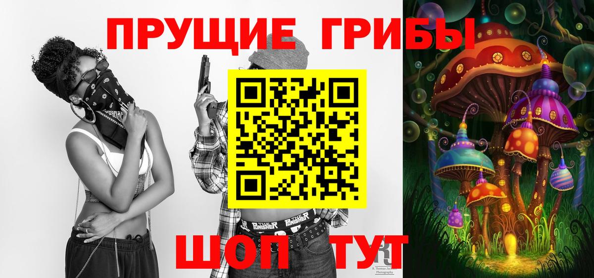 Галлюциногенные грибы Psilocybe  Вход с VPN  Михайловка 